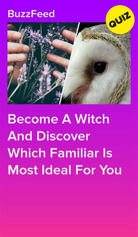 What is your witch familiar quiz